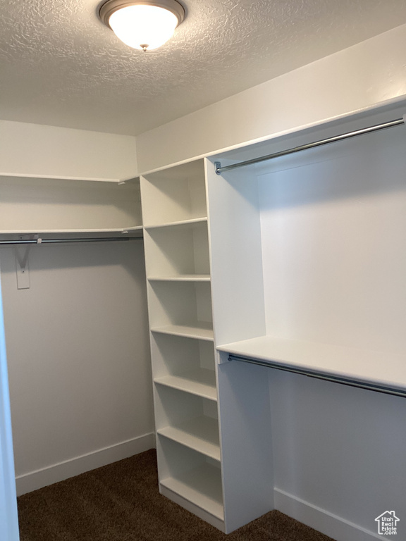 Spacious closet with dark carpet