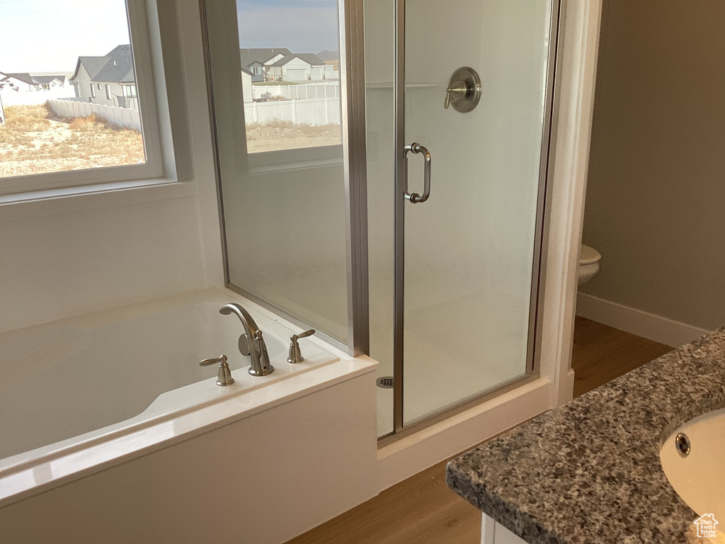 Full bathroom with hardwood / wood-style flooring, plenty of natural light, separate shower and tub, and vanity