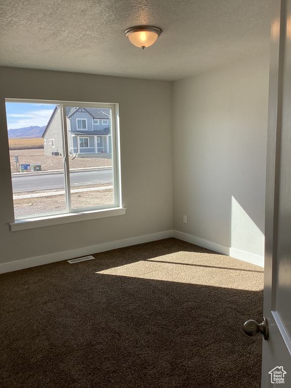 Unfurnished room featuring carpet flooring and a textured ceiling
