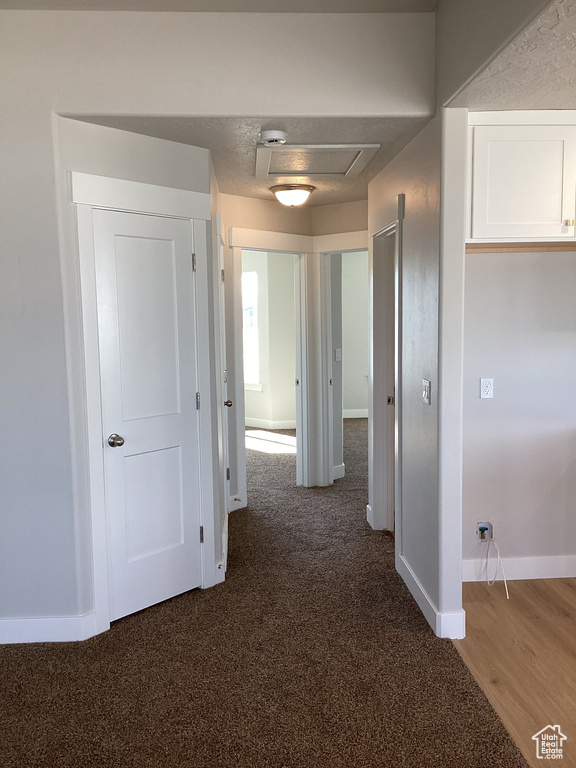 Hall featuring dark hardwood / wood-style flooring