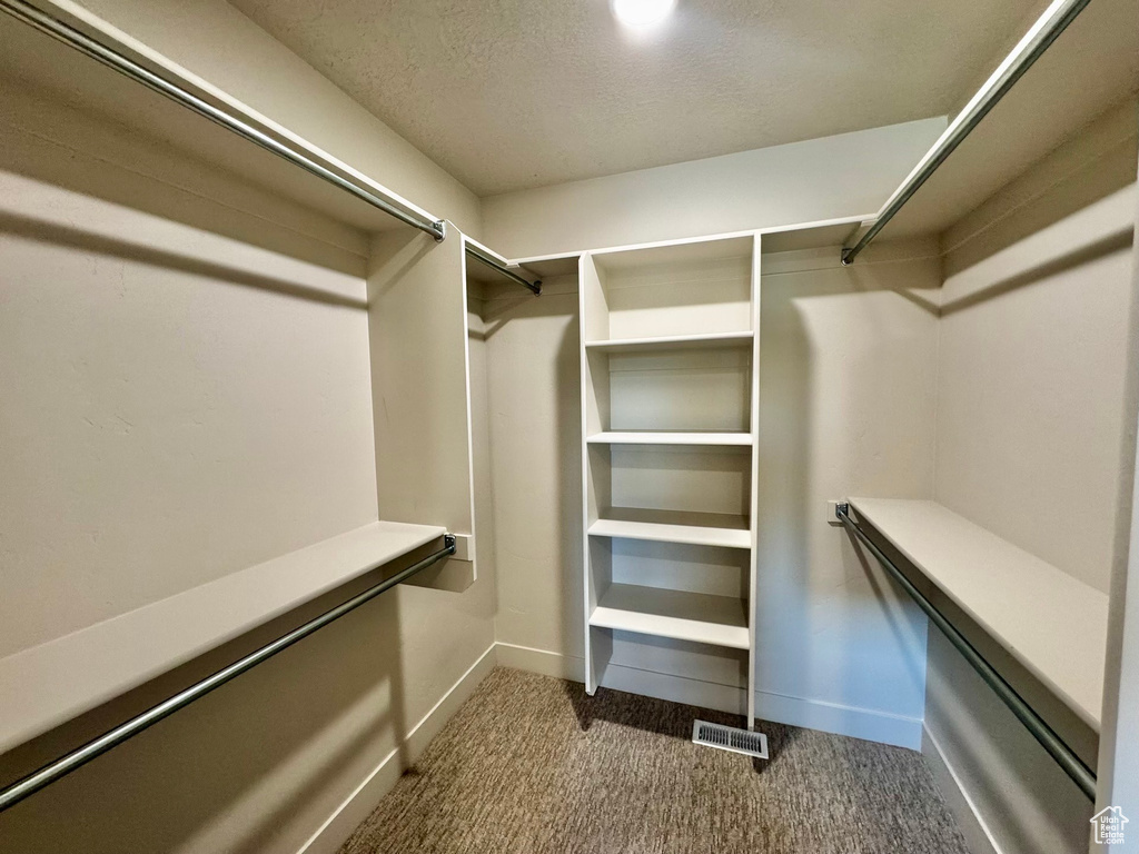 Spacious closet with carpet