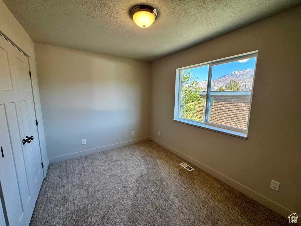 Carpeted spare room with a mountain view and a textured ceiling