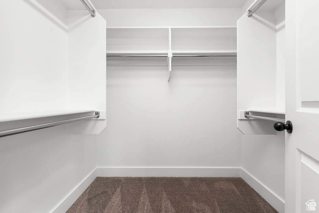 Walk in closet featuring dark colored carpet