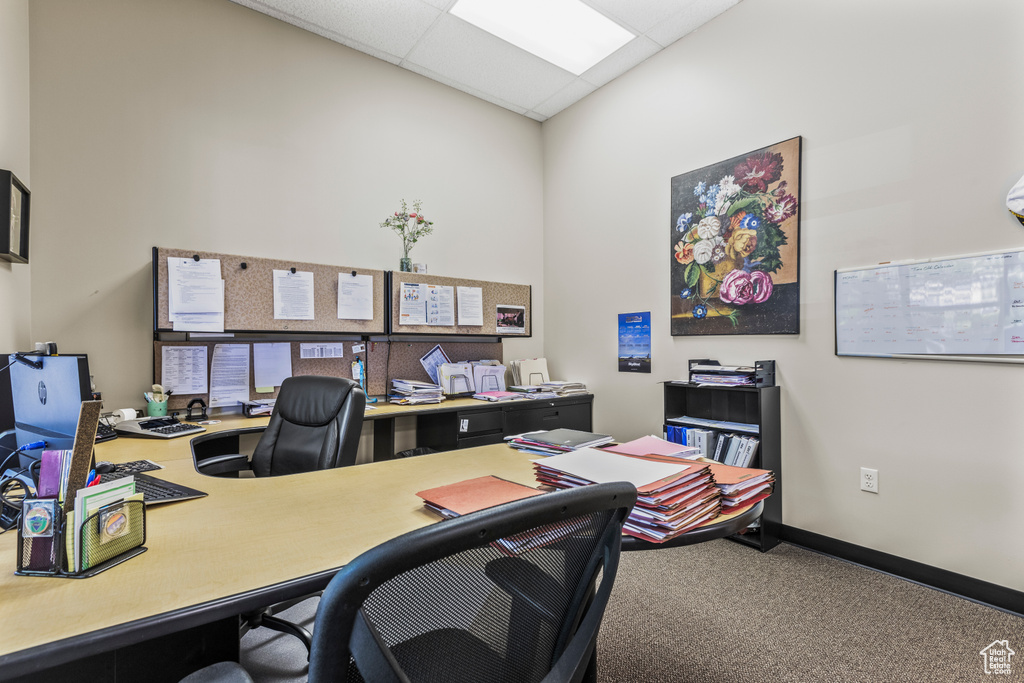 Carpeted office space with a drop ceiling