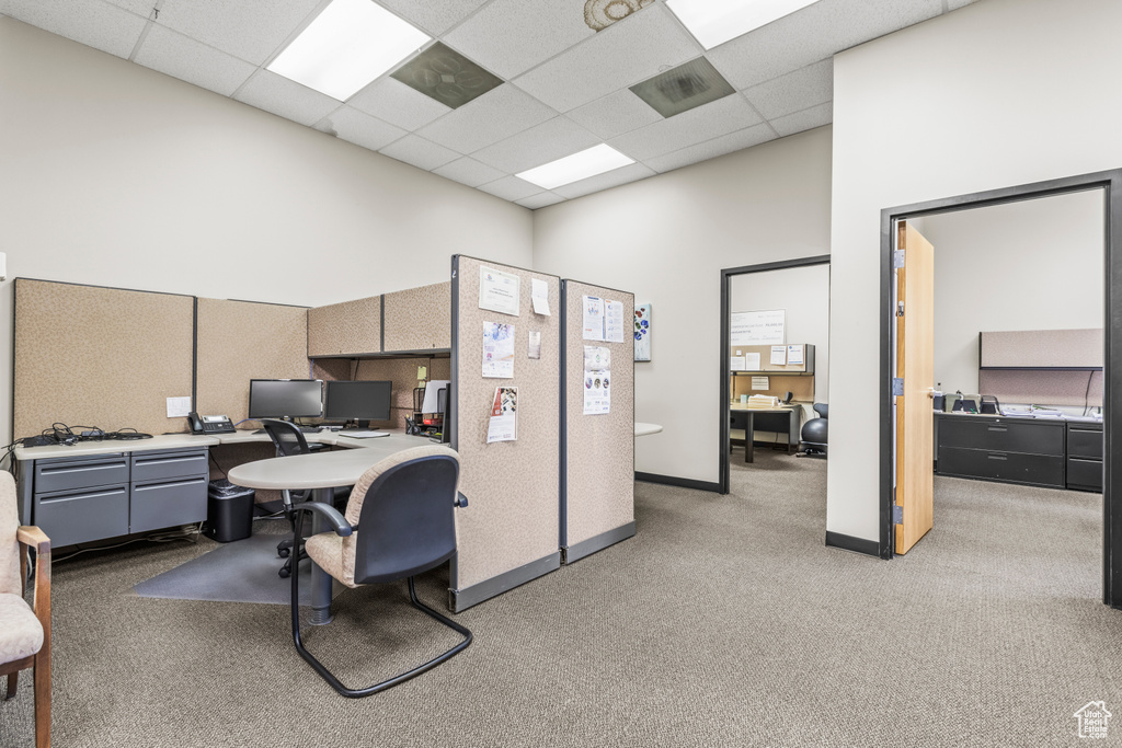 Carpeted home office with a drop ceiling