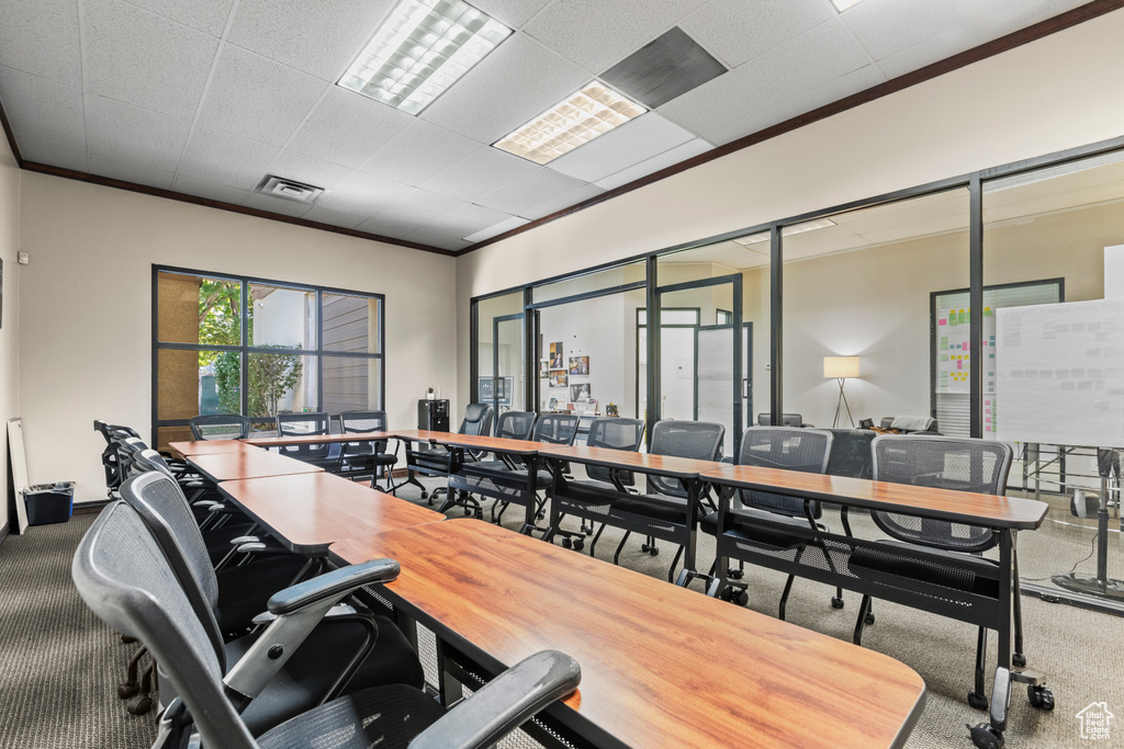 Office space featuring a drop ceiling, crown molding, and carpet flooring