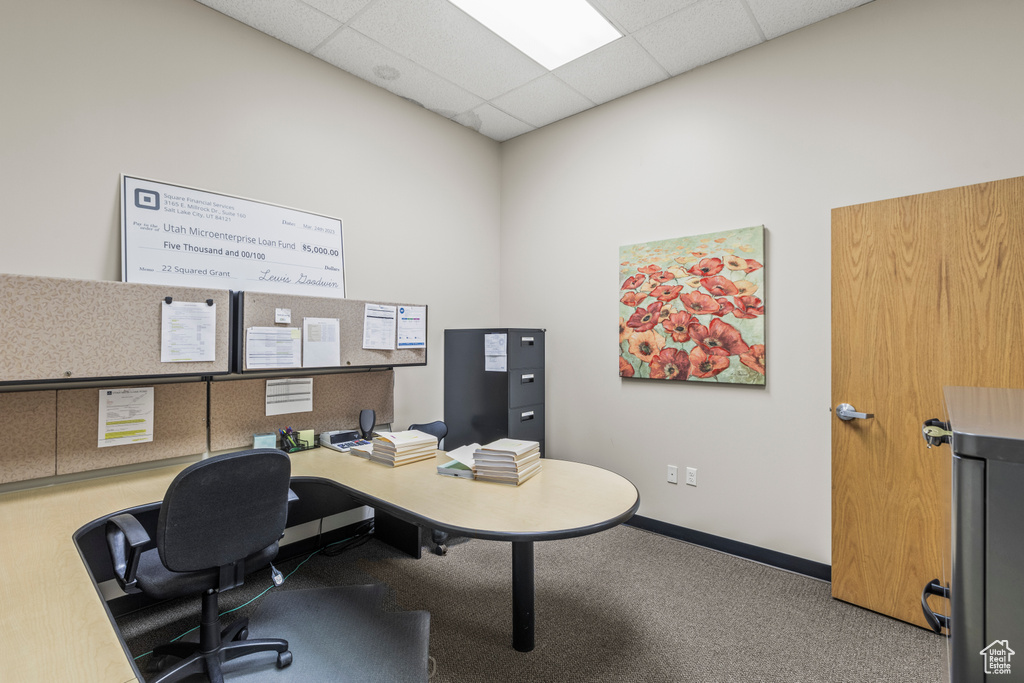 Office space with a drop ceiling and carpet flooring