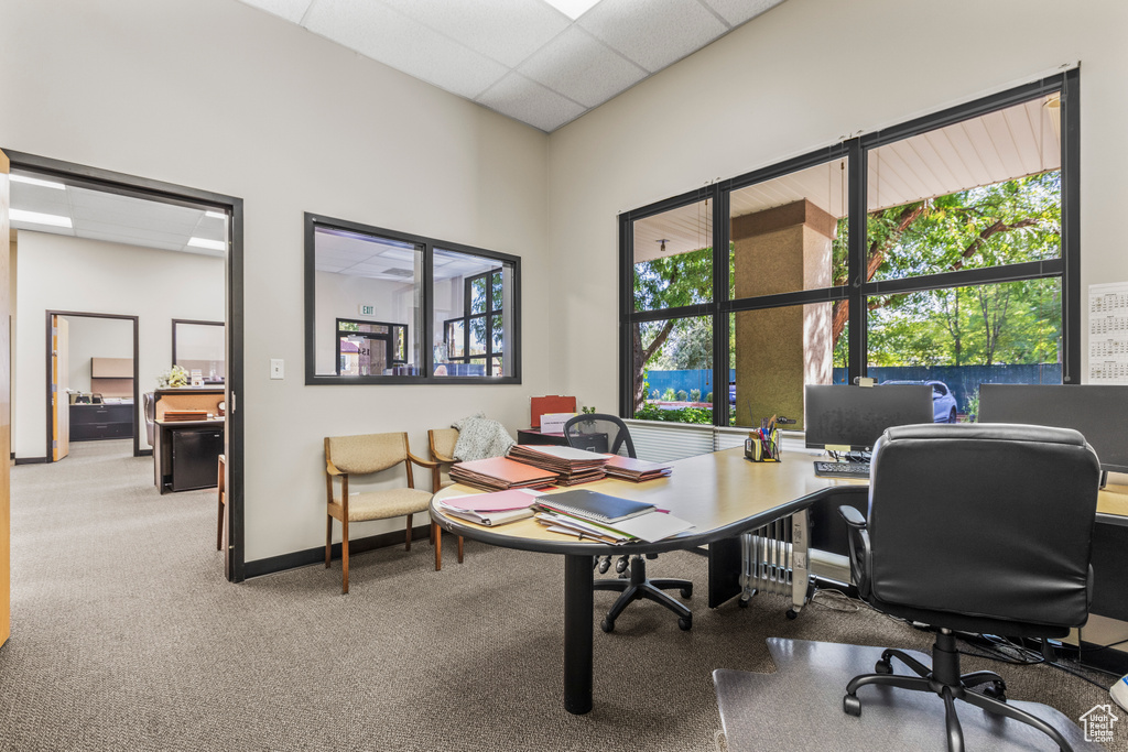 Home office with a drop ceiling, carpet flooring, and a wealth of natural light