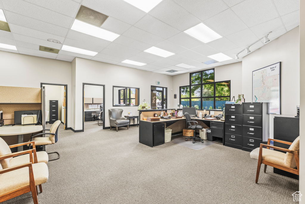 Carpeted office space featuring a paneled ceiling