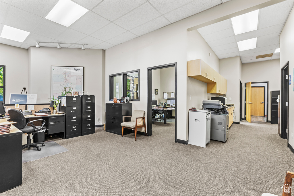 Home office with a drop ceiling, light colored carpet, and a healthy amount of sunlight