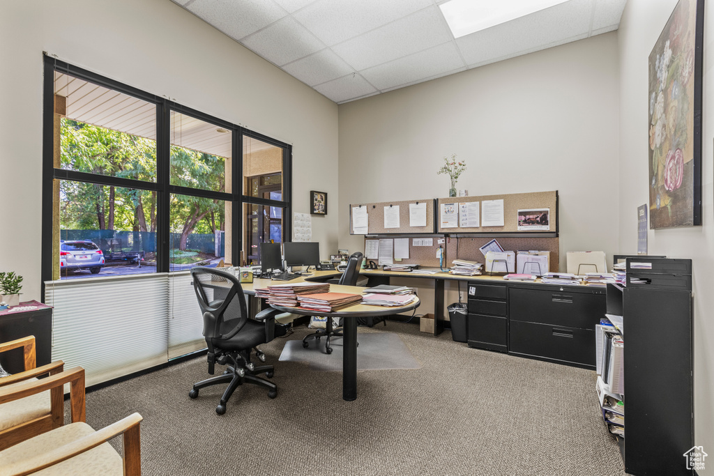 Carpeted office space with a paneled ceiling