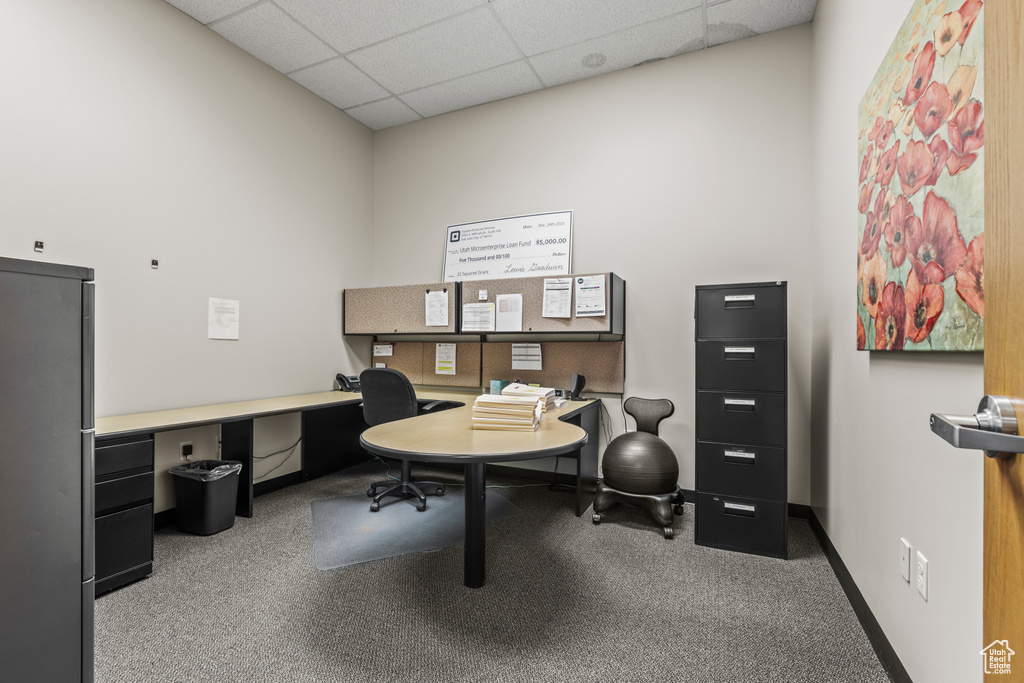 Carpeted office featuring a paneled ceiling