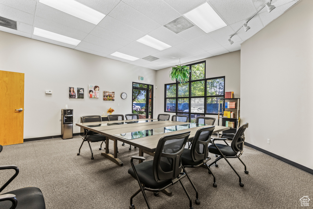 Home office with a drop ceiling, carpet, and track lighting