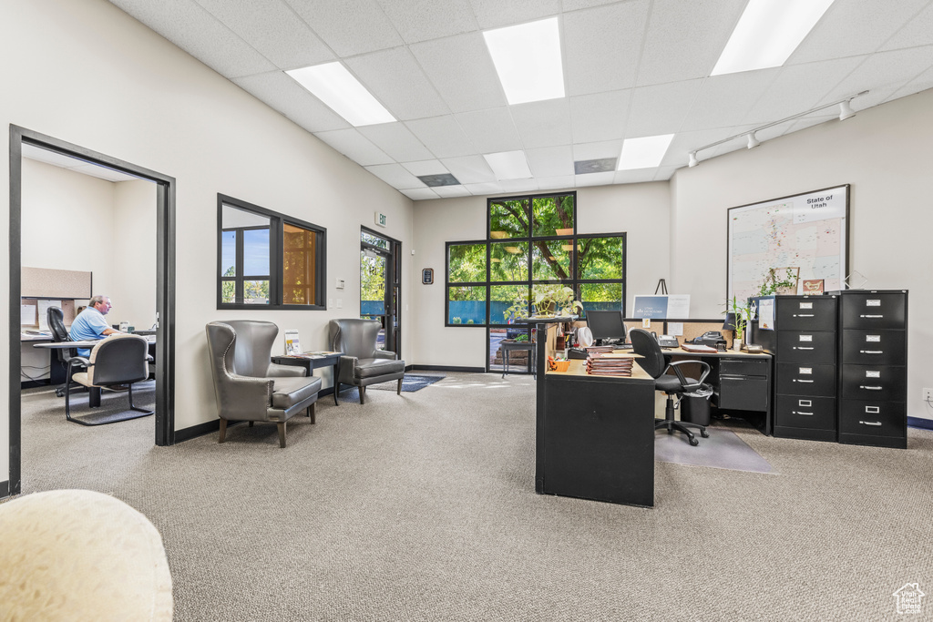 Carpeted home office featuring a paneled ceiling