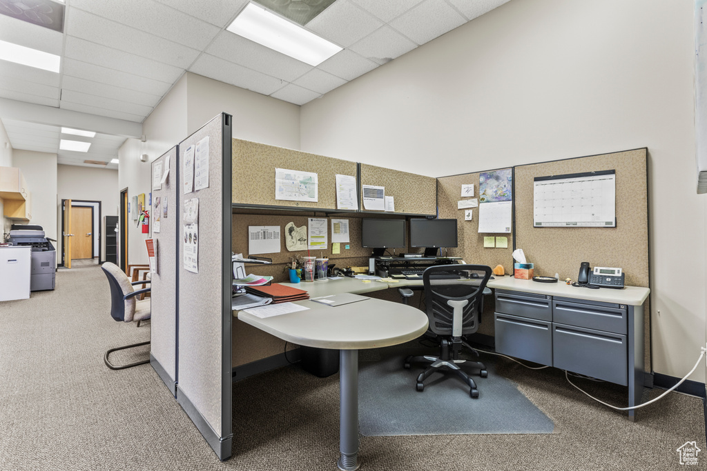 Carpeted office featuring a paneled ceiling