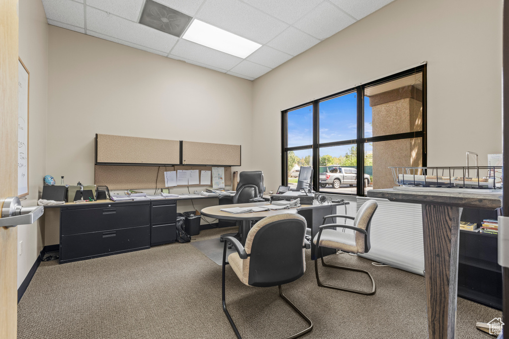 Carpeted office space featuring a paneled ceiling