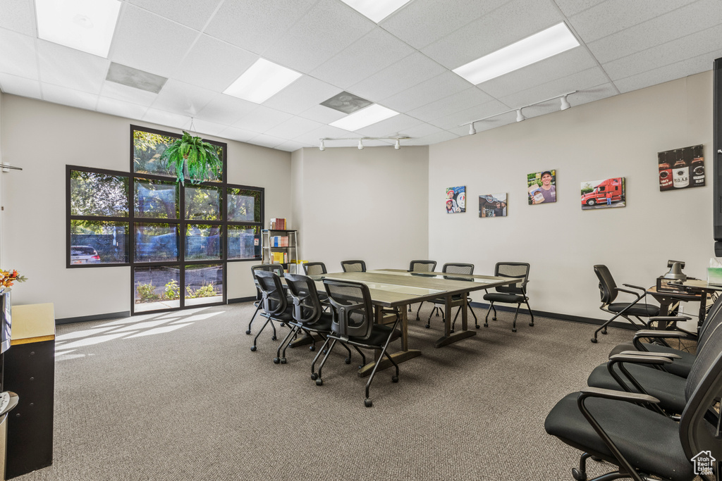 Dining area featuring a paneled ceiling and carpet