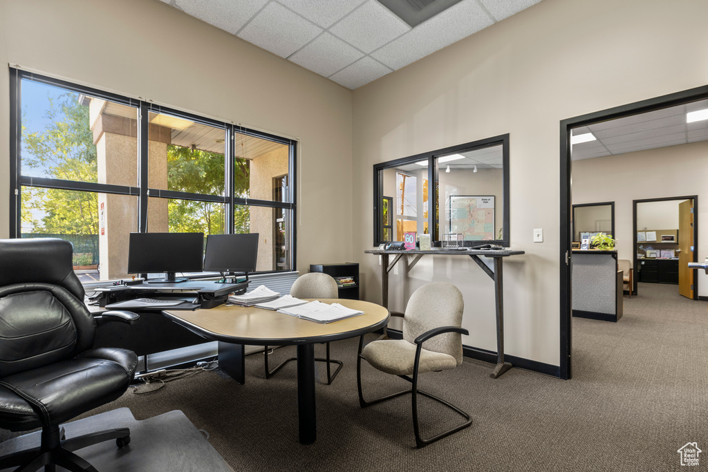 Carpeted office with a paneled ceiling