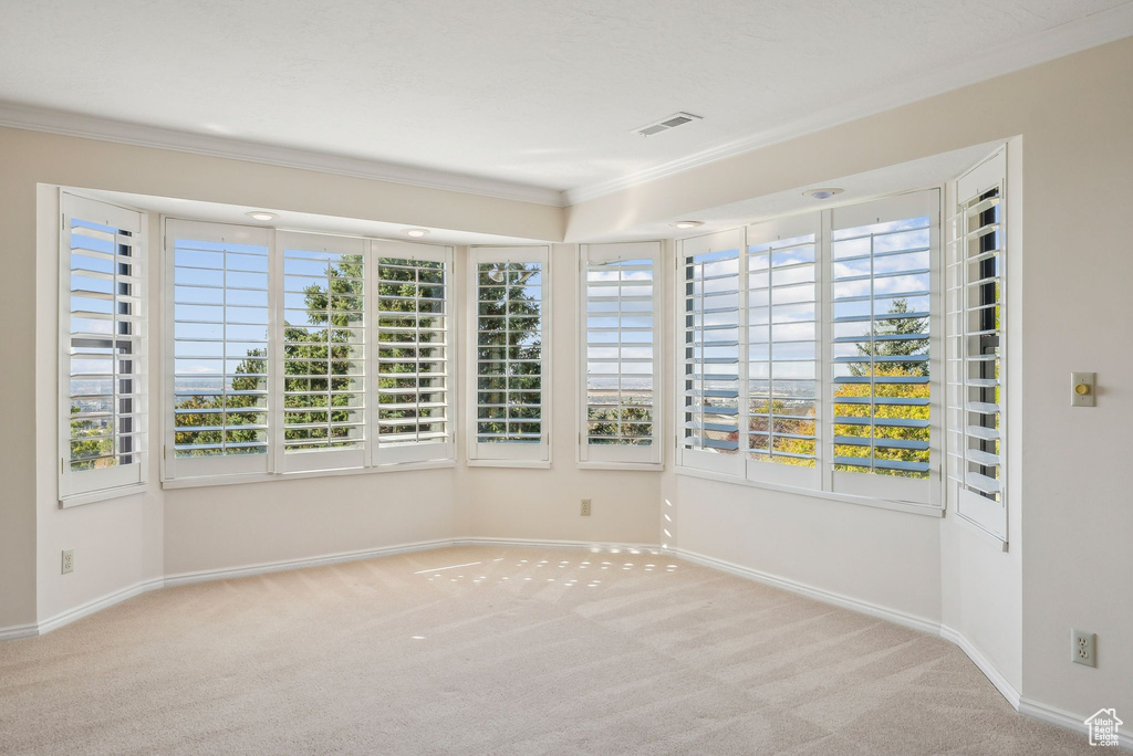 Spare room featuring ornamental molding and carpet