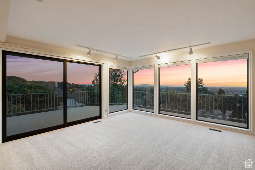 Carpeted spare room with rail lighting and plenty of natural light