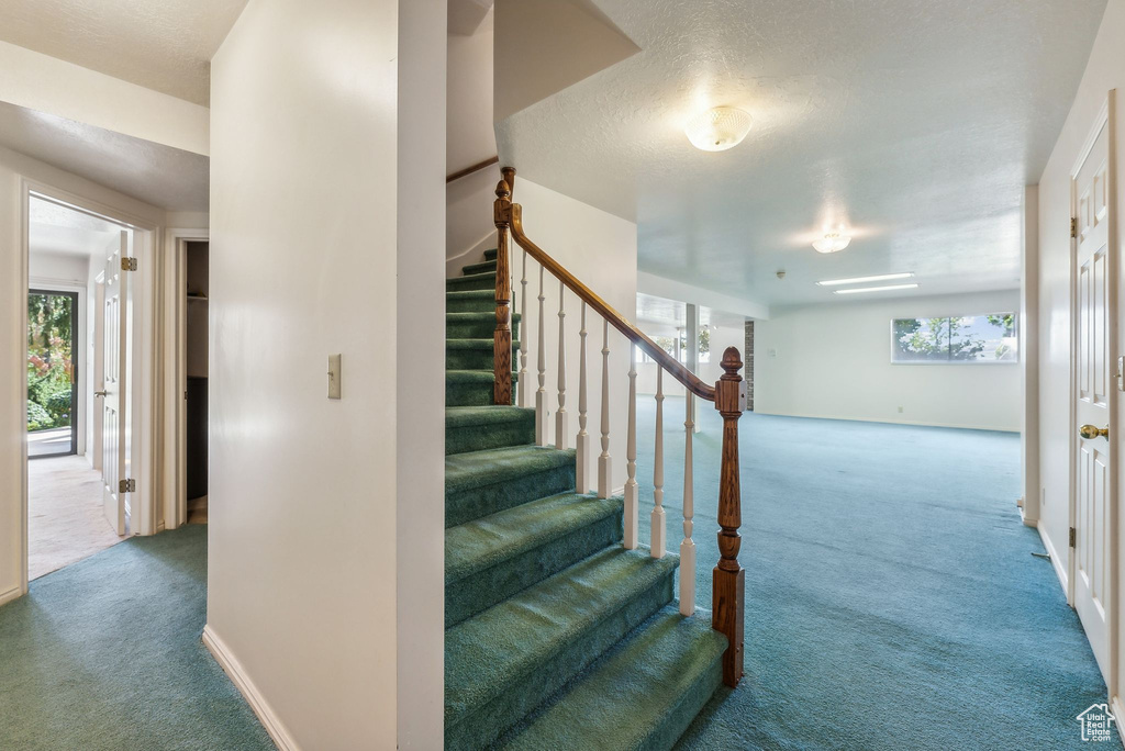 Stairs with carpet flooring and a textured ceiling