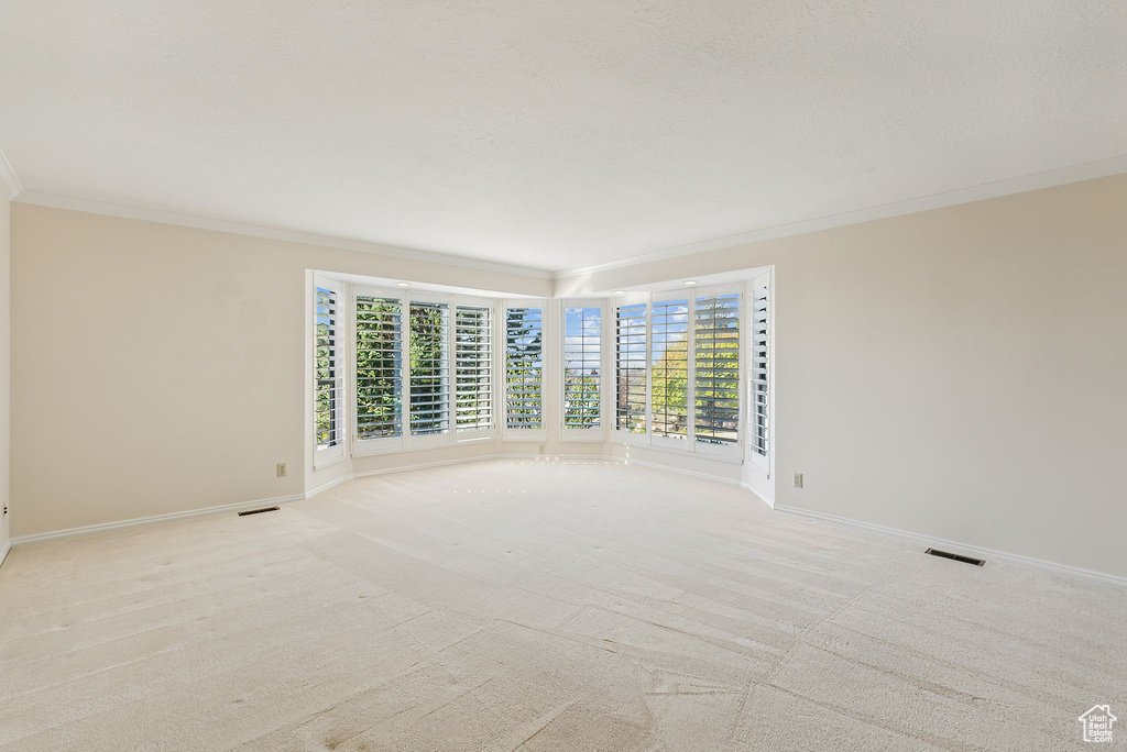 Carpeted empty room with ornamental molding