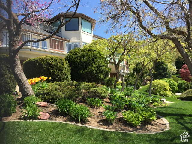 Exterior space with a yard