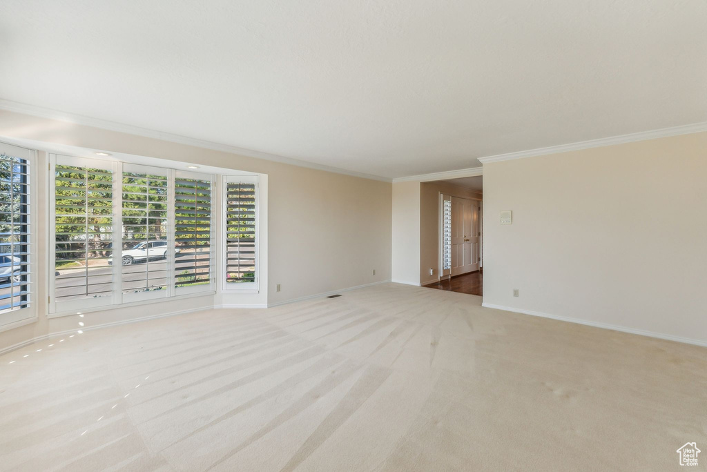 Unfurnished room featuring crown molding and light colored carpet