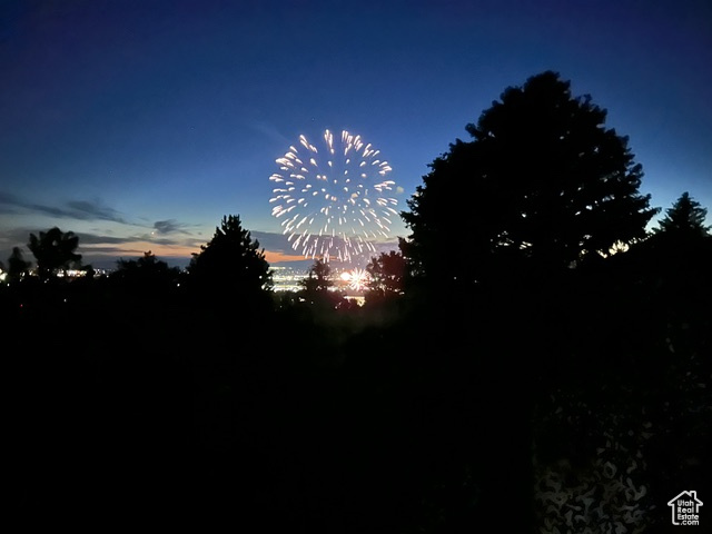 View of nature at dusk