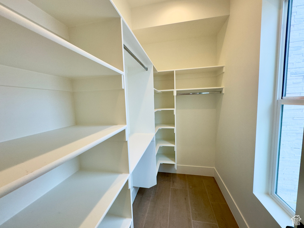 Spacious closet featuring dark hardwood / wood-style flooring