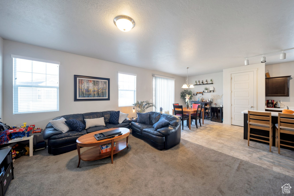 Carpeted living room with a textured ceiling and rail lighting