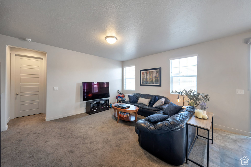 Carpeted living room featuring a textured ceiling