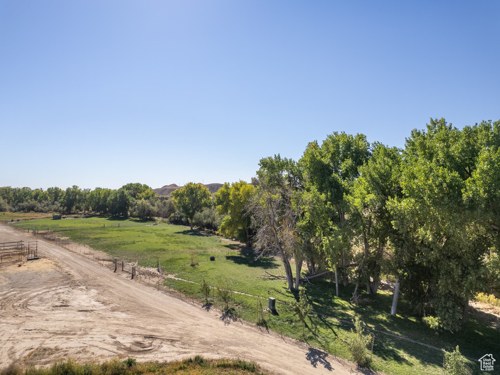 View of local wilderness featuring a rural view