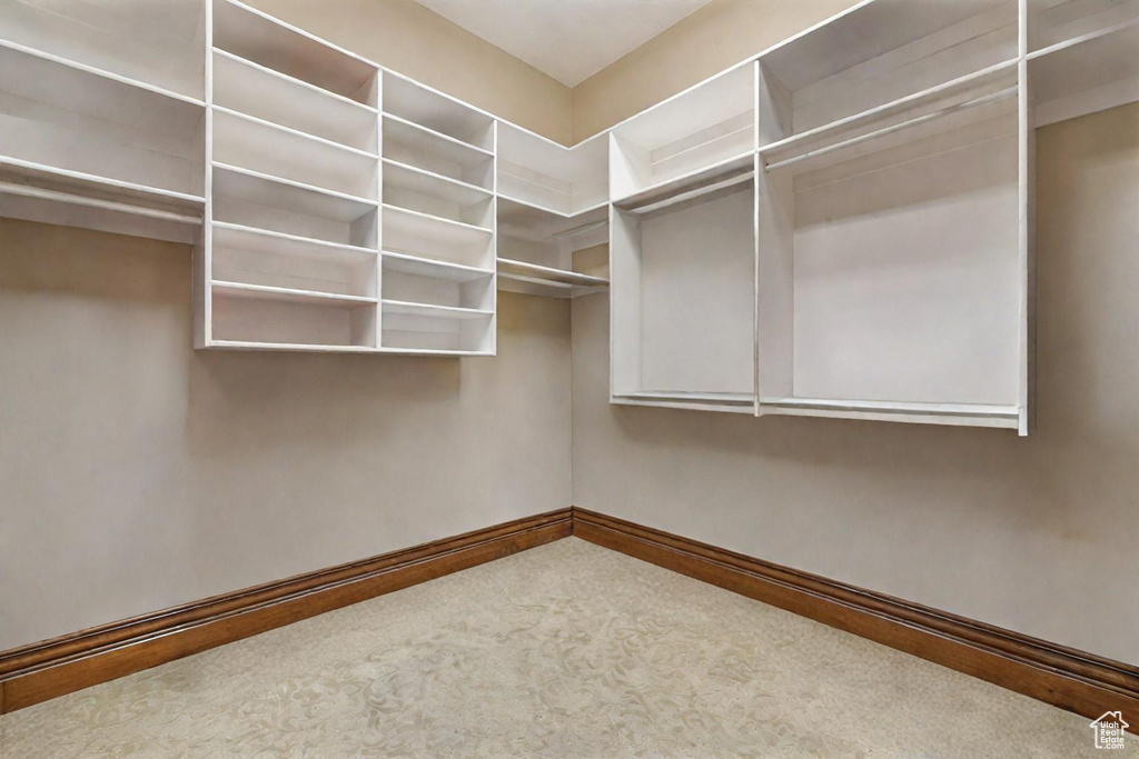 Spacious closet featuring carpet