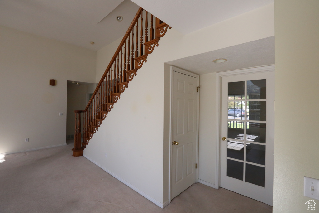 Stairs with carpet