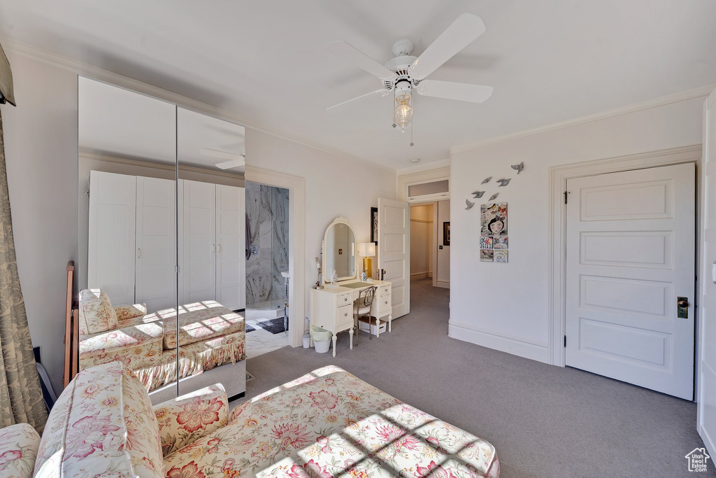 Bedroom featuring a closet, ceiling fan, crown molding, and dark carpet