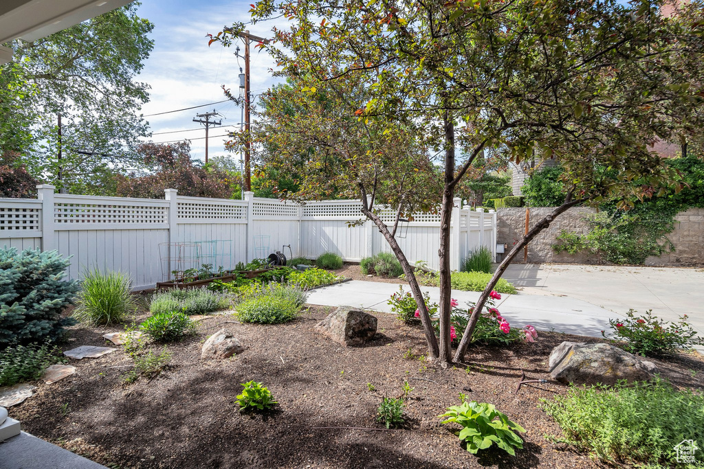 View of yard featuring a patio