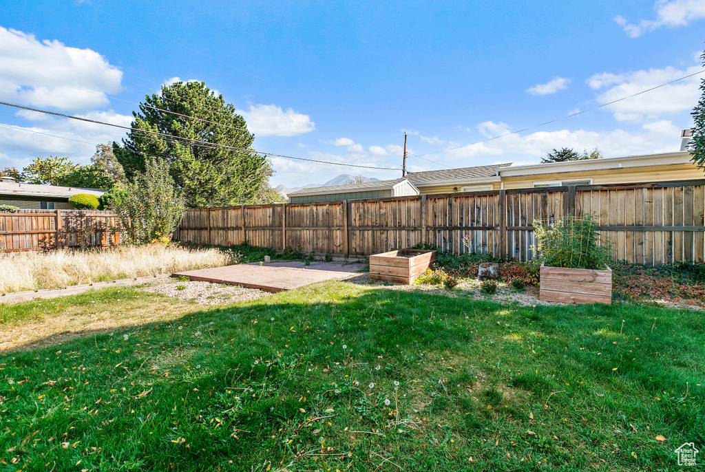 View of yard with a patio