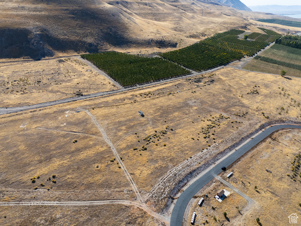 Bird's eye view featuring a rural view