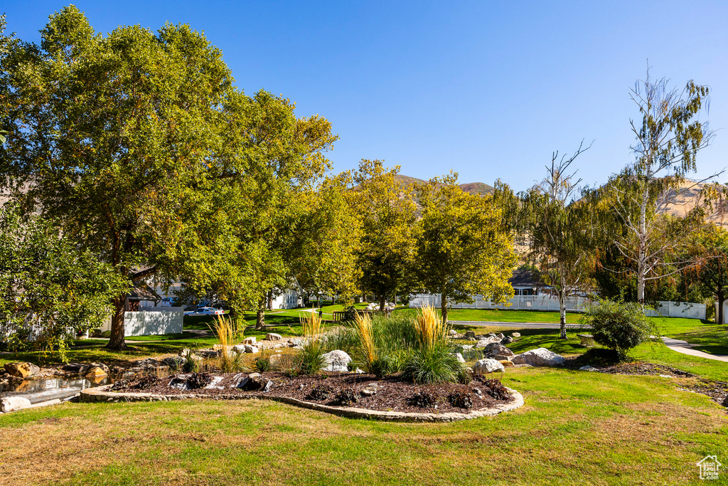 View of community featuring a yard