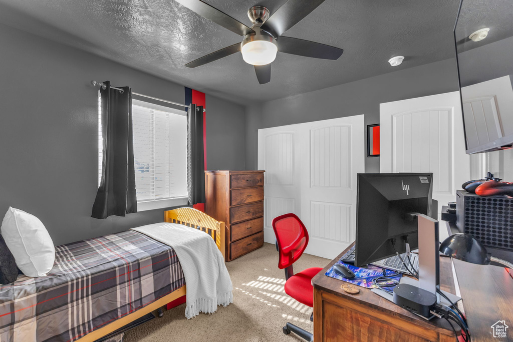 Carpeted bedroom with ceiling fan and a textured ceiling