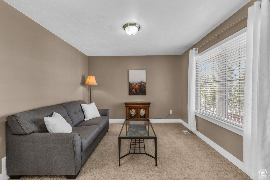 View of carpeted living room