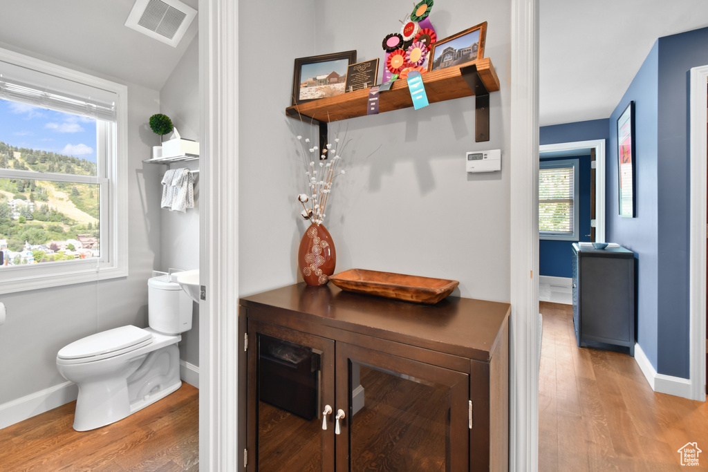 Bathroom with wood-type flooring and toilet