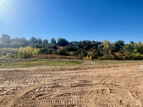 View of local wilderness featuring a rural view