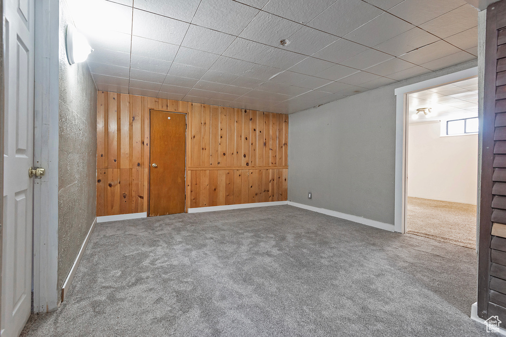 Basement with wood walls and carpet