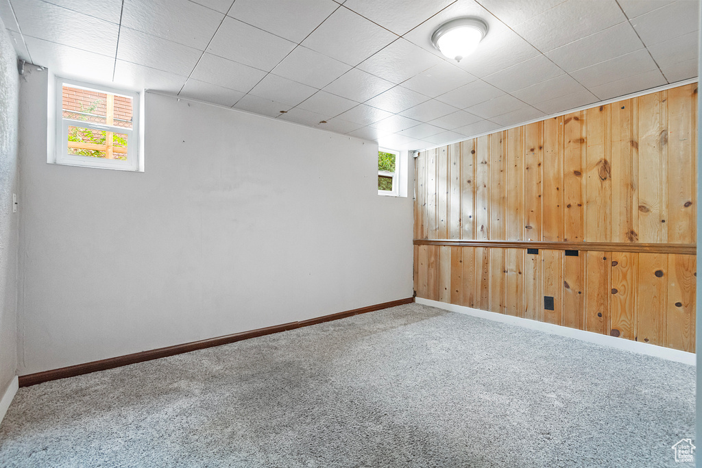 Unfurnished room with a healthy amount of sunlight, wood walls, and carpet floors