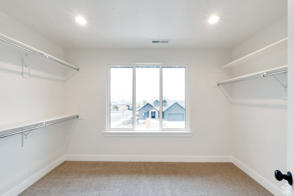 Spacious closet featuring carpet