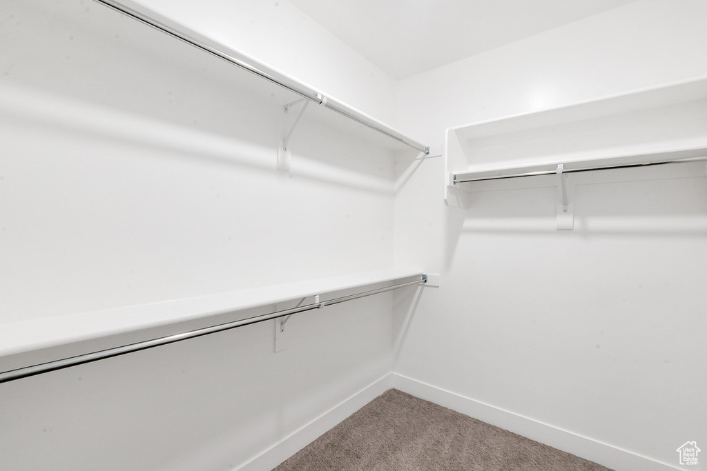 Walk in closet featuring carpet floors