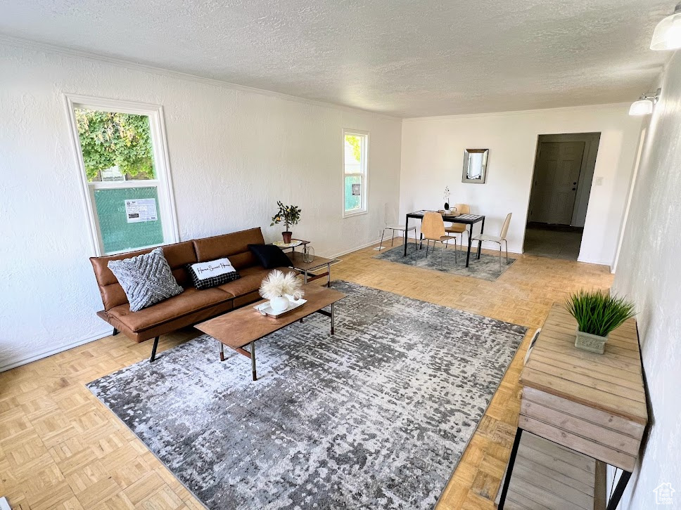 Living room featuring light parquet flooring, a textured ceiling, and a healthy amount of sunlight