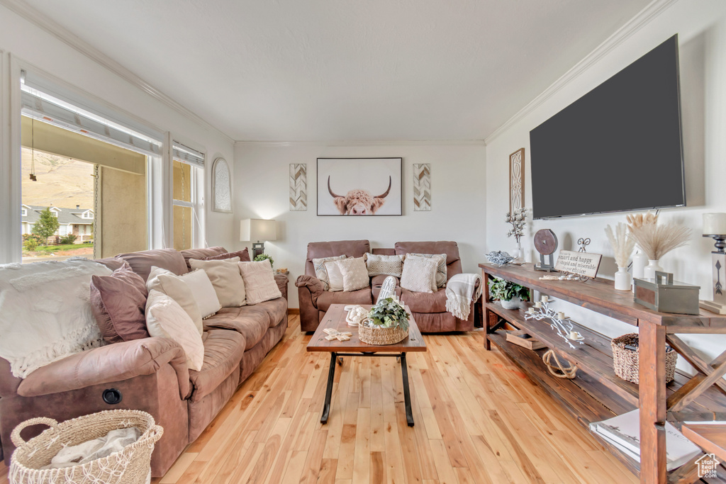 Living room featuring light hardwood / wood-style floors and ornamental molding